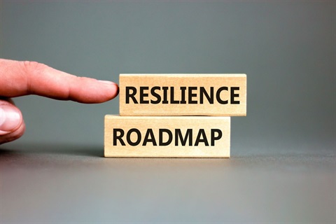 Resilience-Blueprint.jpg